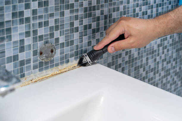 Best Health and Safety Mold Remediation in Jacksonwald, PA